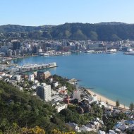 Get the best views of Wellington from the top of Mt. Victoria - all it takes is an energetic walk up the hill or a short scenic drive to the summit.